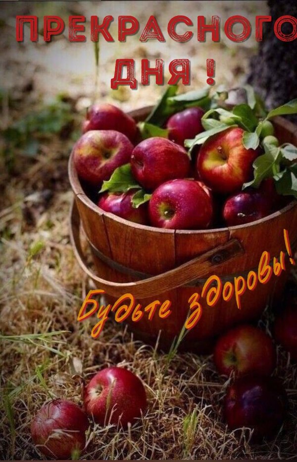 Изображение №4 1064x1653 «Прекрасного дня! Будьте здоровы!» из коллекции «Осенние открытки «Хорошего доброго дня!»»