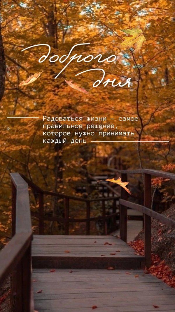 Изображение №40 1080x1920  из коллекции «Осенние открытки «Хорошего доброго дня!»»