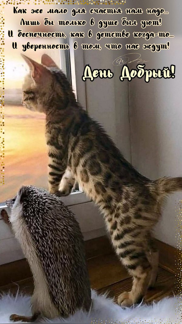 Изображение №18 1080x1920  из коллекции «Осенние открытки «Хорошего доброго дня!»»