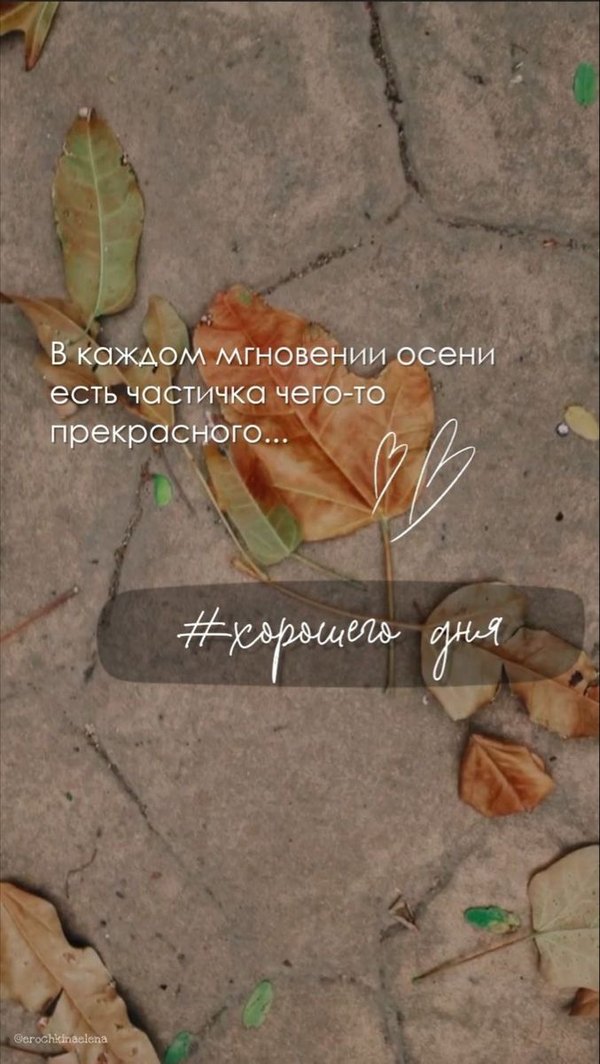 Изображение №62 677x1200  из коллекции «Осенние открытки «Хорошего доброго дня!»»