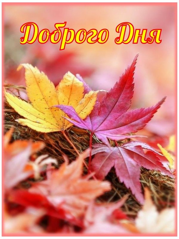 Изображение №49 766x1022  из коллекции «Осенние открытки «Хорошего доброго дня!»»