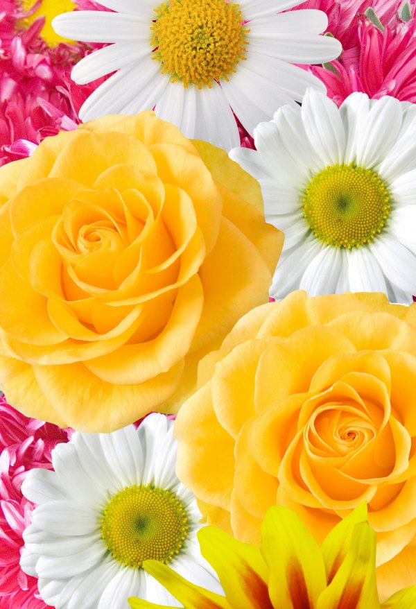 Изображение №19 2200x3220 «Фон с цветами на телефон» из коллекции «Весна»