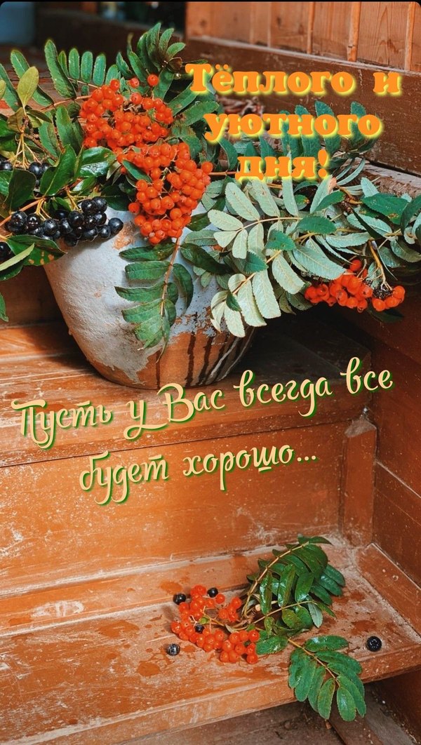 Изображение №19 1080x1911 «Тёплого и уютного дня!» из коллекции «Осенние открытки «Хорошего доброго дня!»»