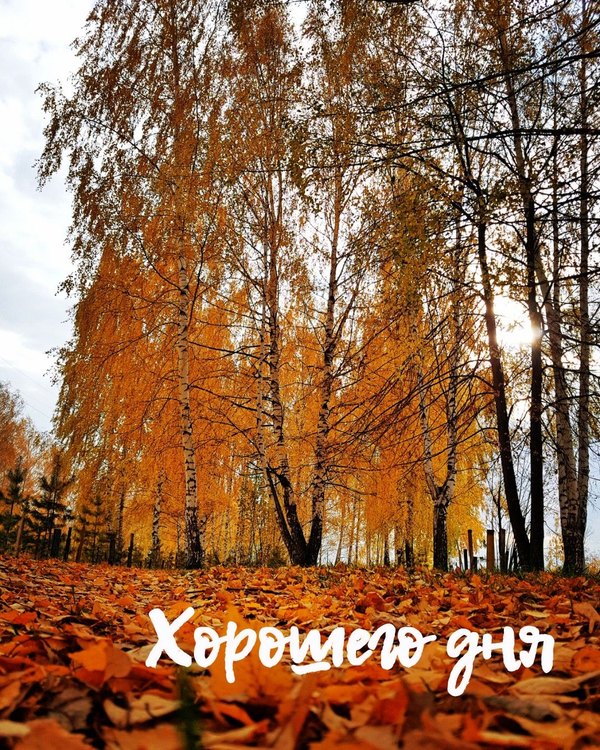 Изображение №59 1080x1350  из коллекции «Осенние открытки «Хорошего доброго дня!»»