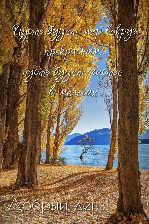 Изображение №45 1080x1620  из коллекции «Осенние открытки «Хорошего доброго дня!»»