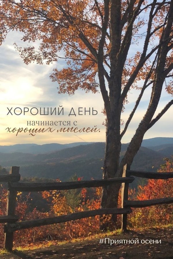 Изображение №64 736x1104  из коллекции «Осенние открытки «Хорошего доброго дня!»»