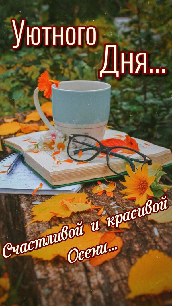 Picture background