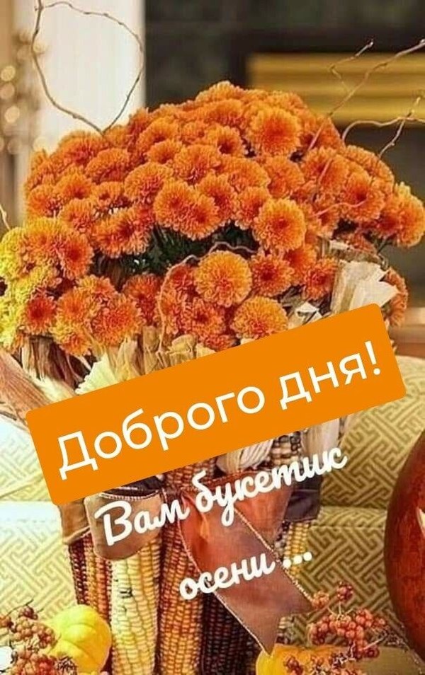 Изображение №13 604x960 «Вам букетик осени! Доброго дня!» из коллекции «Осенние открытки «Хорошего доброго дня!»»