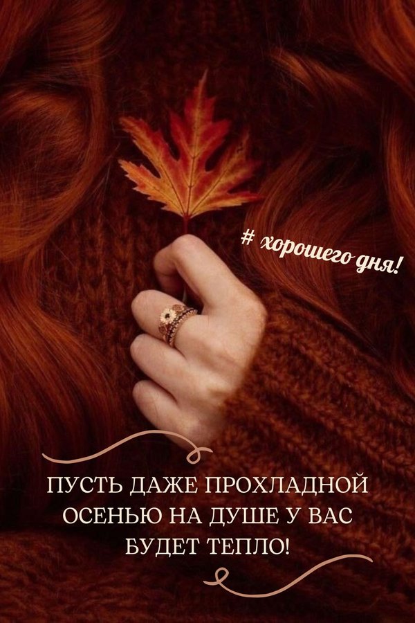 Изображение №54 1000x1500  из коллекции «Осенние открытки «Хорошего доброго дня!»»