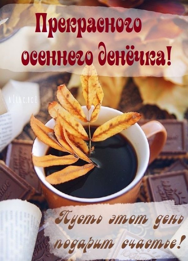 Изображение №63 585x815 «Прекрасного осеннего денёчка!» из коллекции «Осенние открытки «Хорошего доброго дня!»»