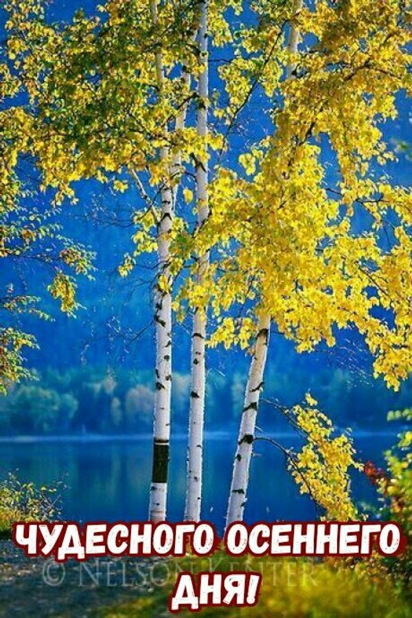 Изображение №6 460x689 «Открытка Чудесного осеннего дня!» из коллекции «Осенние открытки «Хорошего доброго дня!»»