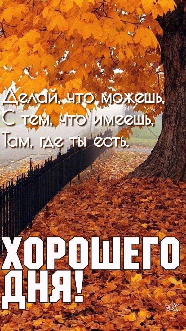 Изображение №33 720x1280  из коллекции «Осенние открытки «Хорошего доброго дня!»»