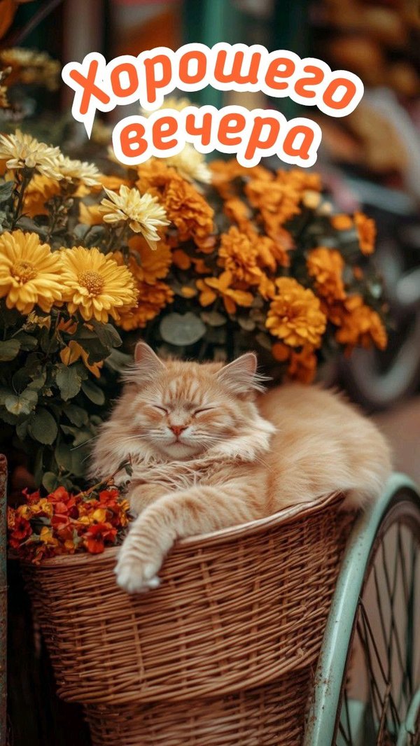 Изображение №13 718x1276 из коллекции «Осенние открытки «Хорошего доброго вечера!»»