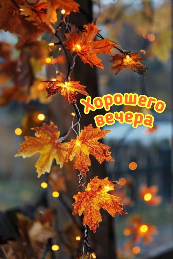 Изображение №27 736x1104 из коллекции «Осенние открытки «Хорошего доброго вечера!»»