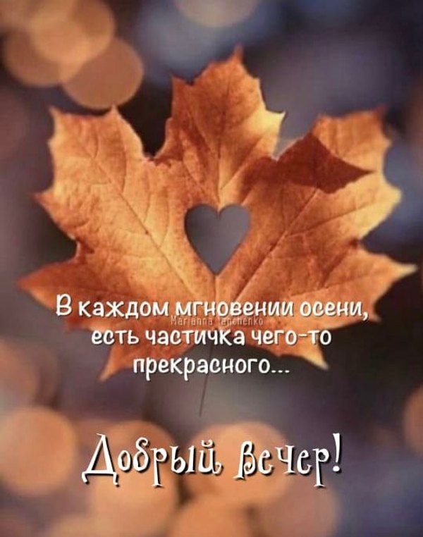 Изображение №68 540x686 из коллекции «Осенние открытки «Хорошего доброго вечера!»»