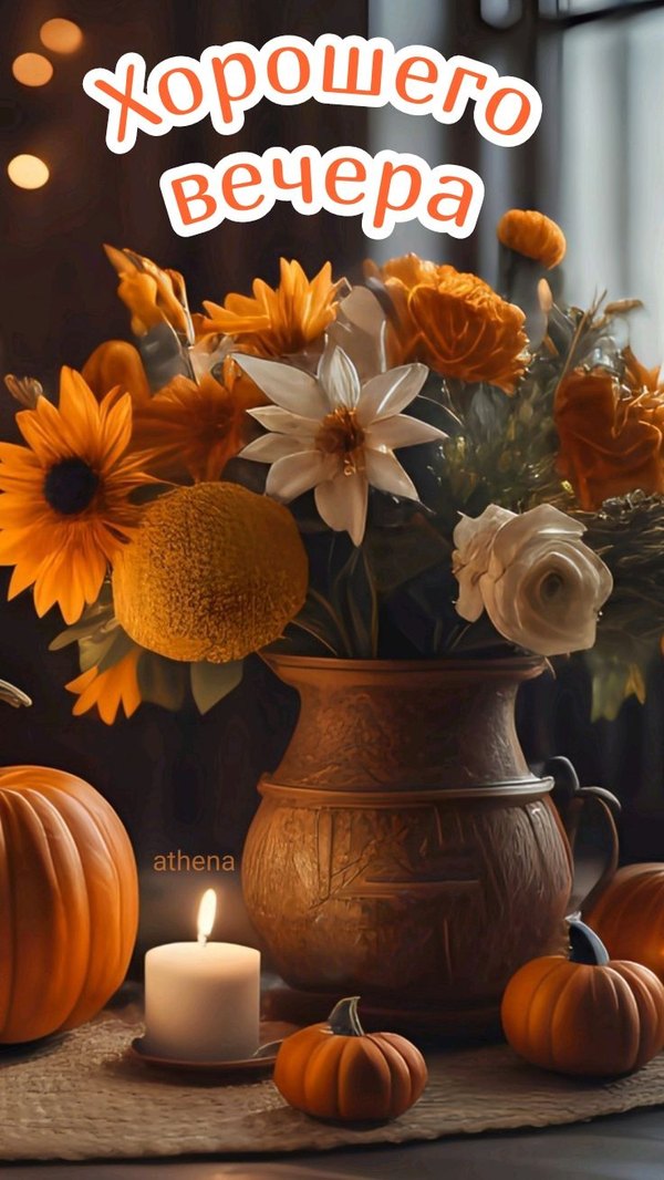 Изображение №38 736x1308 из коллекции «Осенние открытки «Хорошего доброго вечера!»»