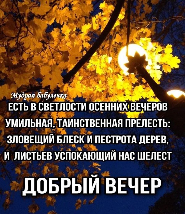 Изображение №70 1080x1249 из коллекции «Осенние открытки «Хорошего доброго вечера!»»