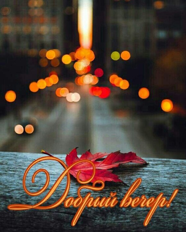 Изображение №78 564x704 из коллекции «Осенние открытки «Хорошего доброго вечера!»»