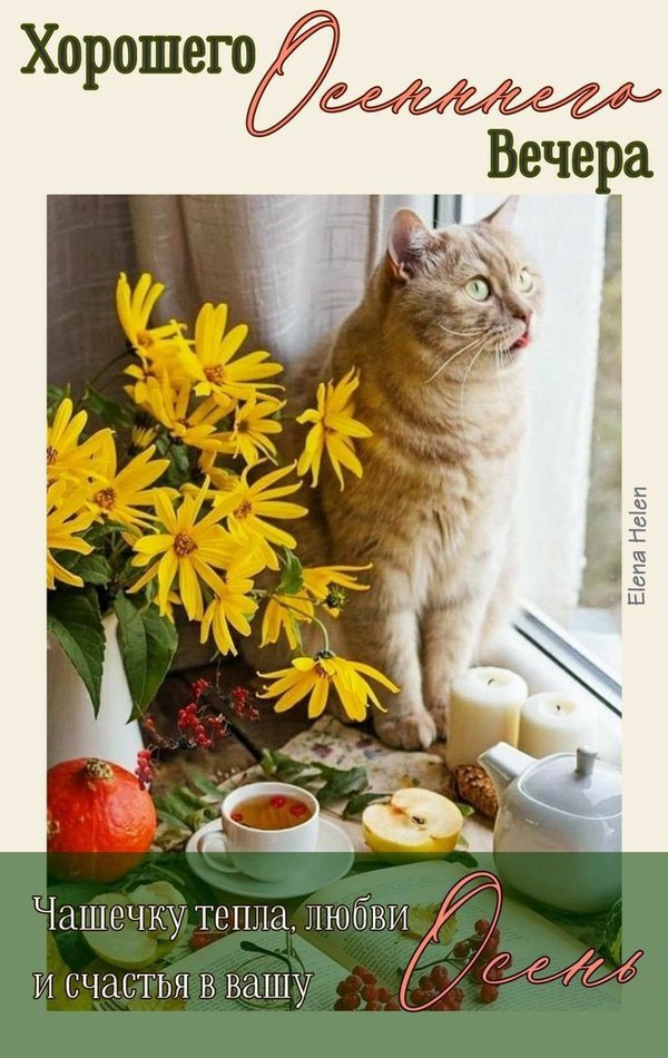 Изображение №32 736x1165 «Хорошего осеннего вечера!» из коллекции «Осенние открытки «Хорошего доброго вечера!»»