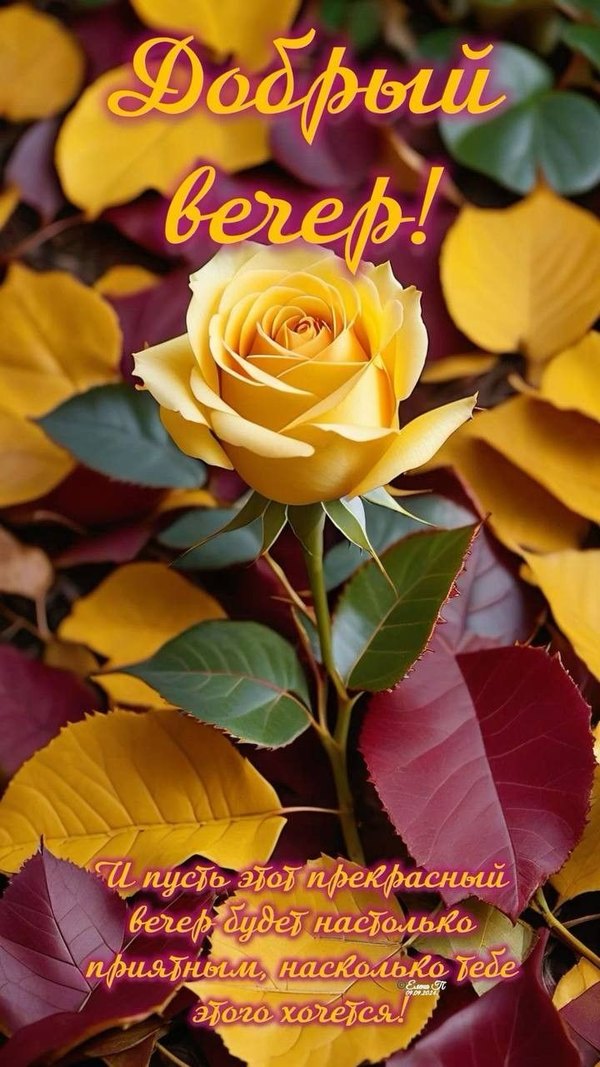 Изображение №34 720x1280 из коллекции «Осенние открытки «Хорошего доброго вечера!»»