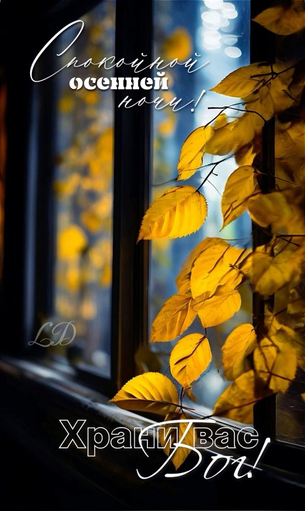 Изображение №13 1113x1862  из коллекции «Осенние открытки «Спокойной доброй ночи!»»