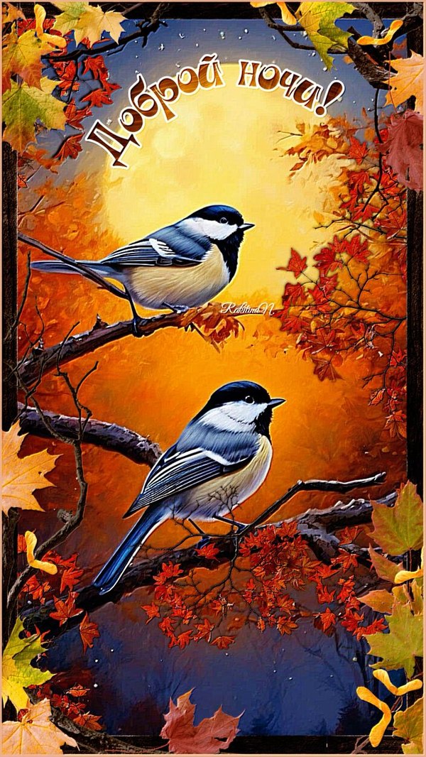 Изображение №55 804x1428  из коллекции «Осенние открытки «Спокойной доброй ночи!»»