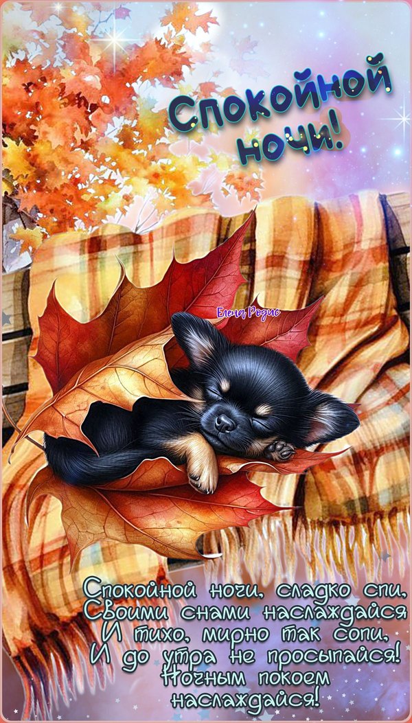 Изображение №77 1200x2105  из коллекции «Осенние открытки «Спокойной доброй ночи!»»