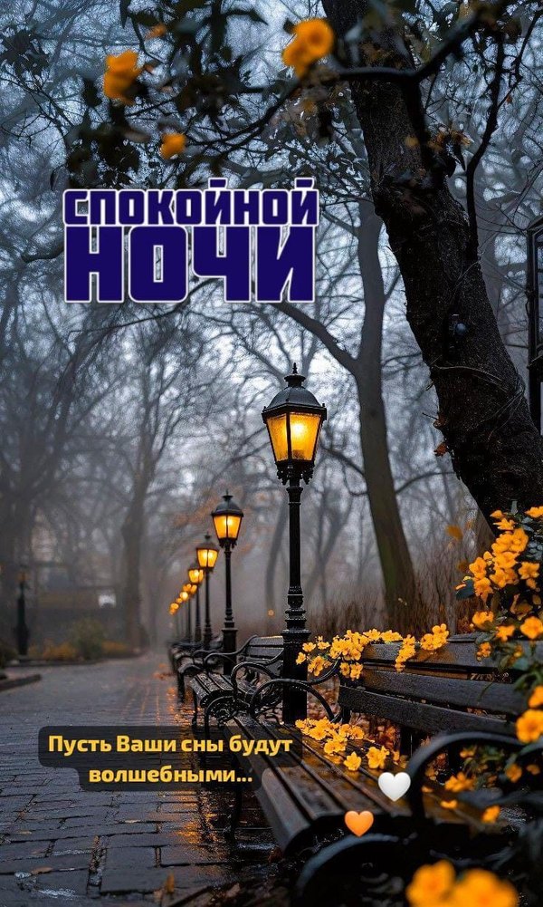 Изображение №78 736x1228  из коллекции «Осенние открытки «Спокойной доброй ночи!»»