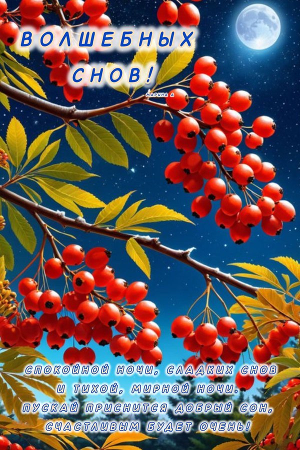 Изображение №39 1200x1800 «Волшебных снов!» из коллекции «Осенние открытки «Спокойной доброй ночи!»»