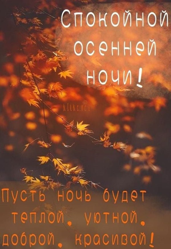 Изображение №62 558x809 «Спокойной осенней ночи!» из коллекции «Осенние открытки «Спокойной доброй ночи!»»