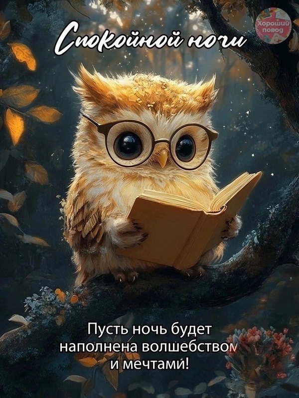 Изображение №51 928x1232  из коллекции «Осенние открытки «Спокойной доброй ночи!»»