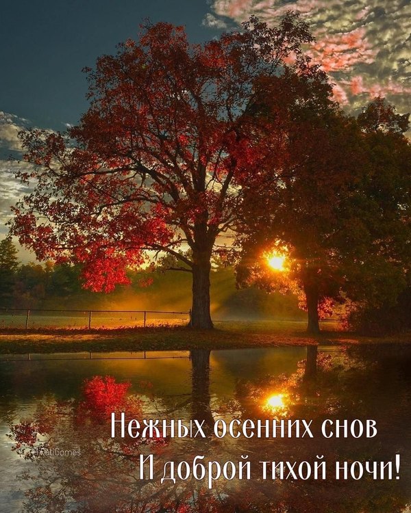 Изображение №32 1080x1350 «Нежных осенних снов! Доброй тихой ночи!» из коллекции «Осенние открытки «Спокойной доброй ночи!»»