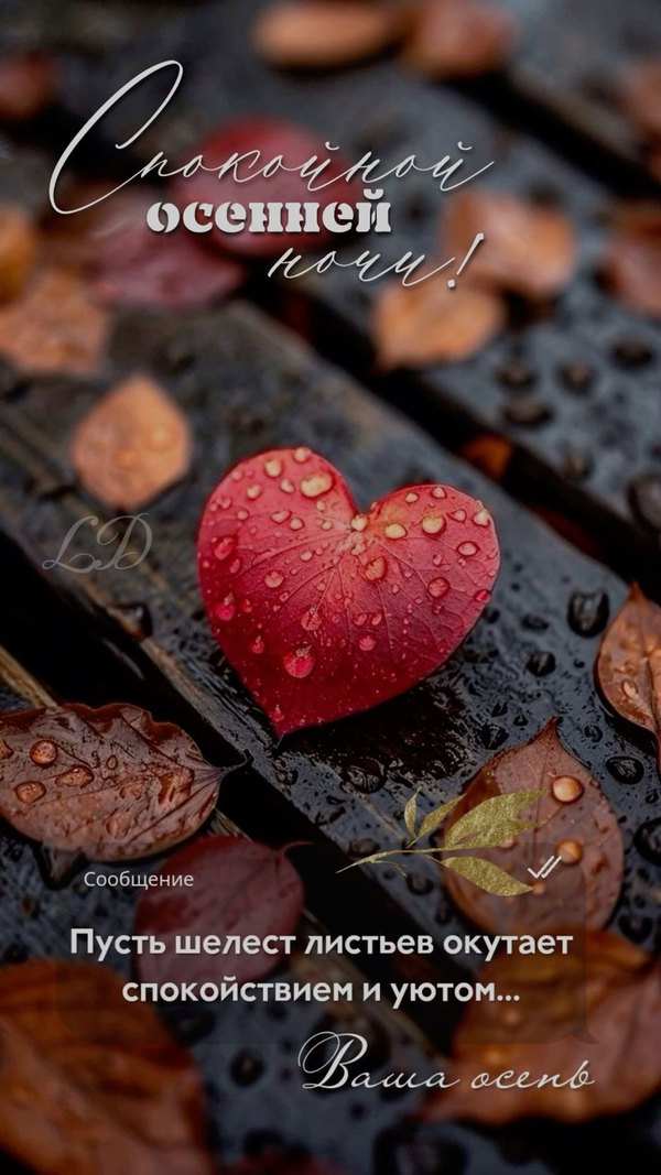 Изображение №35 1080x1920 «Спокойной осенней ночи!» из коллекции «Осенние открытки «Спокойной доброй ночи!»»