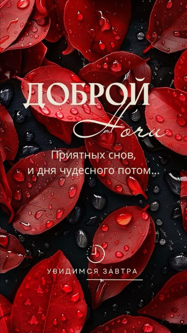 Изображение №34 736x1308 «Красивая открытка Доброй ночи! Увидимся завтра!» из коллекции «Осенние открытки «Спокойной доброй ночи!»»