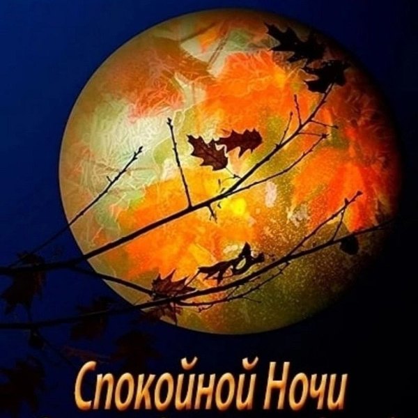 Изображение №75 800x800  из коллекции «Осенние открытки «Спокойной доброй ночи!»»