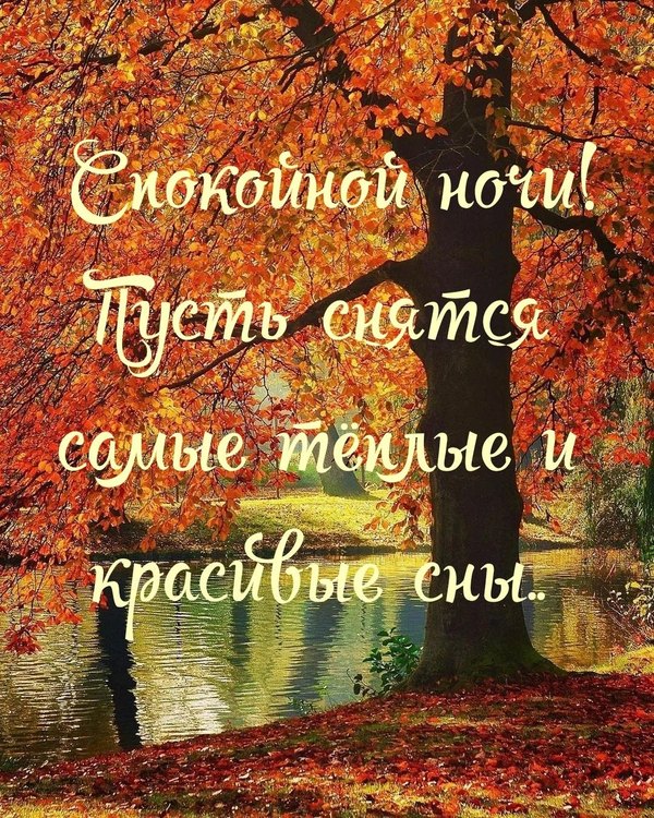 Изображение №6 1080x1350  из коллекции «Осенние открытки «Спокойной доброй ночи!»»