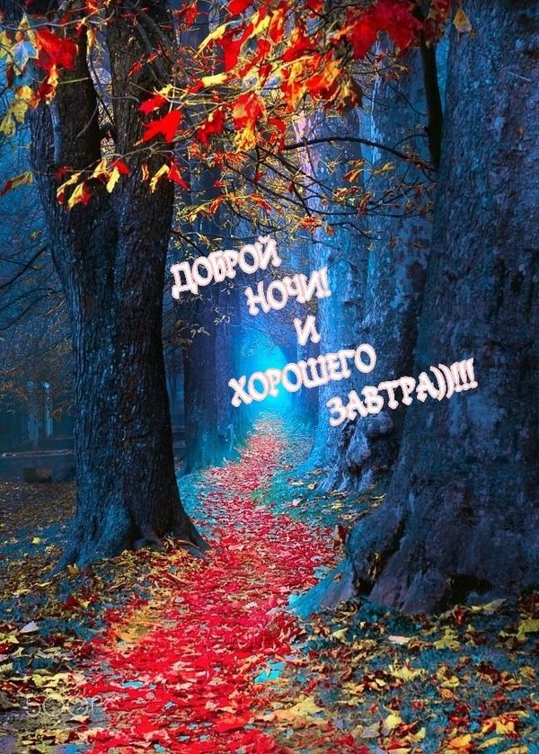 Изображение №28 649x908  из коллекции «Осенние открытки «Спокойной доброй ночи!»»