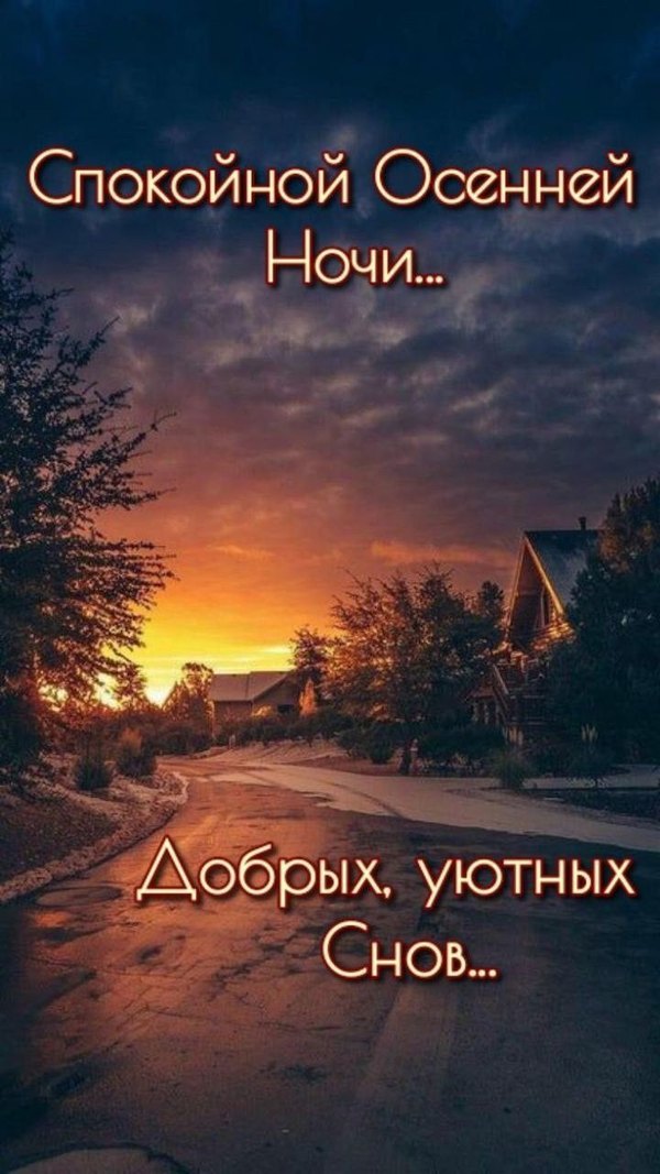 Изображение №24 720x1280 «Спокойной осенней ночи! Добрых уютных снов!» из коллекции «Осенние открытки «Спокойной доброй ночи!»»