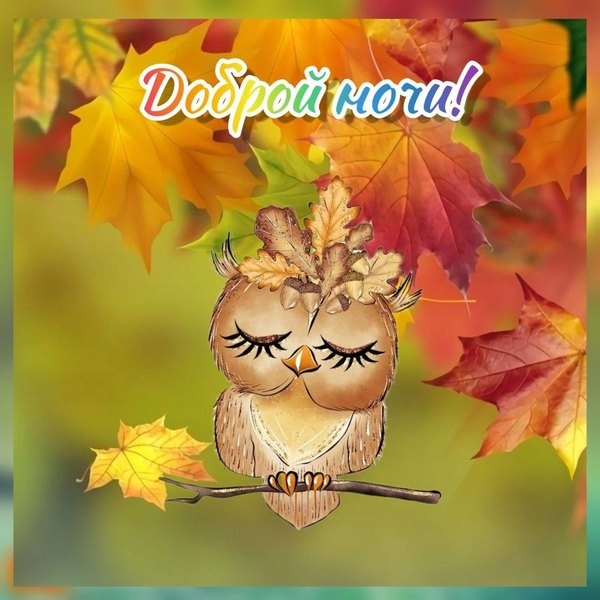 Изображение №29 960x960  из коллекции «Осенние открытки «Спокойной доброй ночи!»»