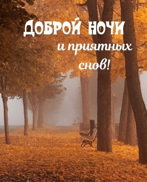 Изображение №72 539x669 «Доброй ночи и приятных снов!» из коллекции «Осенние открытки «Спокойной доброй ночи!»»