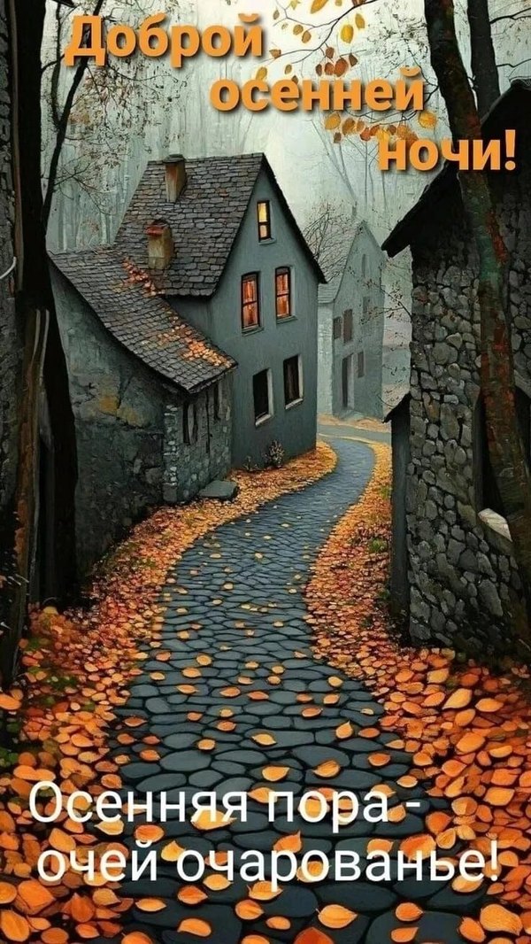 Изображение №36 736x1308 «Доброй осенней ночи!» из коллекции «Осенние открытки «Спокойной доброй ночи!»»
