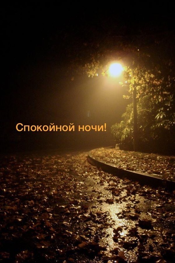 Изображение №52 564x846  из коллекции «Осенние открытки «Спокойной доброй ночи!»»