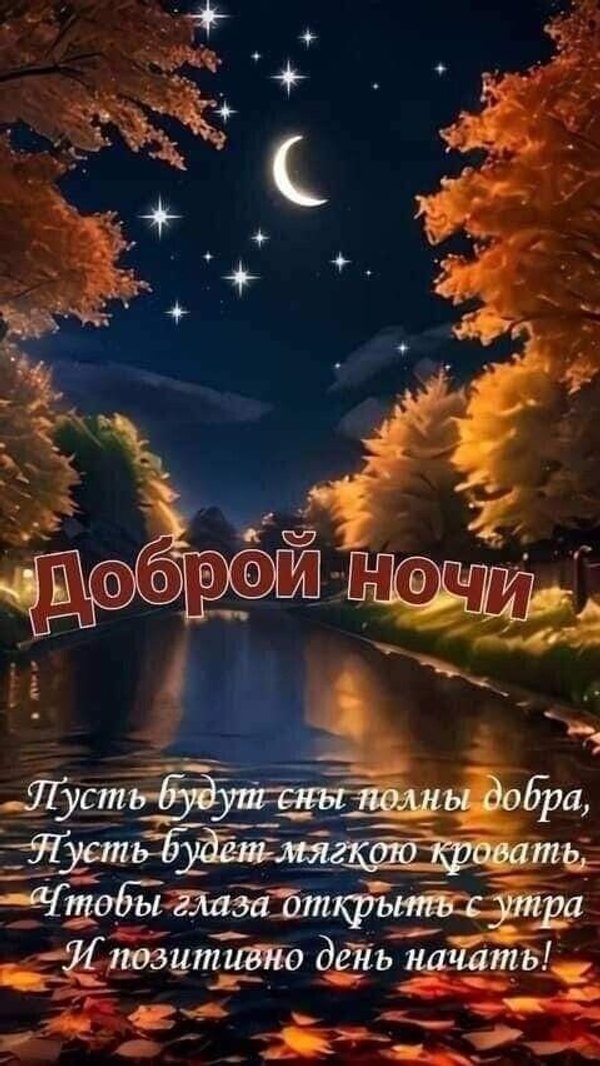 Изображение №45 480x853  из коллекции «Осенние открытки «Спокойной доброй ночи!»»