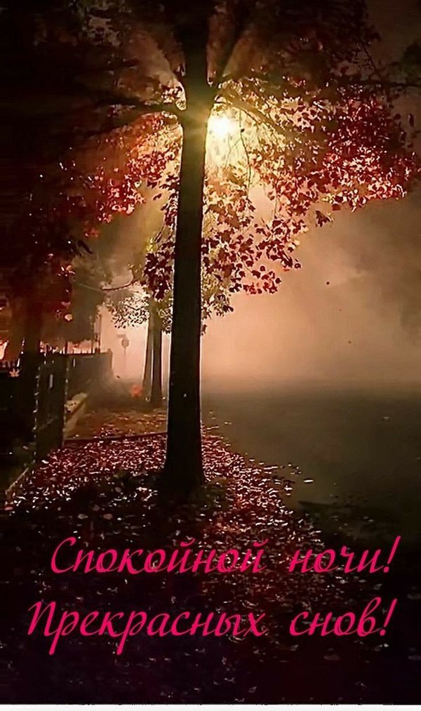 Изображение №73 736x1243 «Спокойной ночи! Прекрасных снов!» из коллекции «Осенние открытки «Спокойной доброй ночи!»»