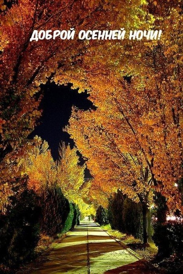 Изображение №65 468x699  из коллекции «Осенние открытки «Спокойной доброй ночи!»»