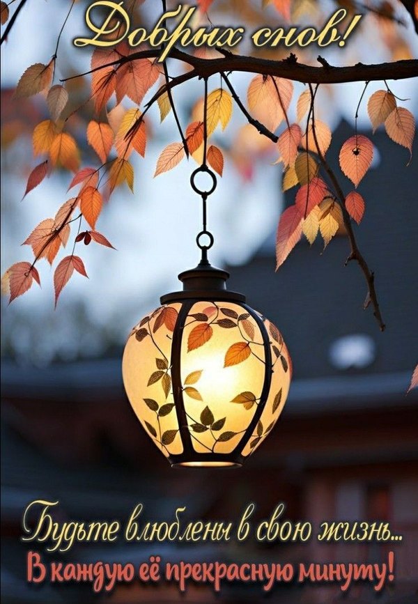 Изображение №37 738x1067 «Добрых снов!» из коллекции «Осенние открытки «Спокойной доброй ночи!»»