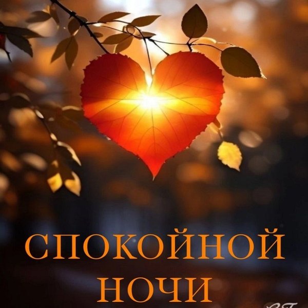 Изображение №10 800x800  из коллекции «Осенние открытки «Спокойной доброй ночи!»»