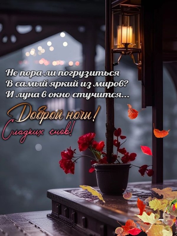 Изображение №5 736x980 «Доброй ночи! Сладкий снов!» из коллекции «Осенние открытки «Спокойной доброй ночи!»»