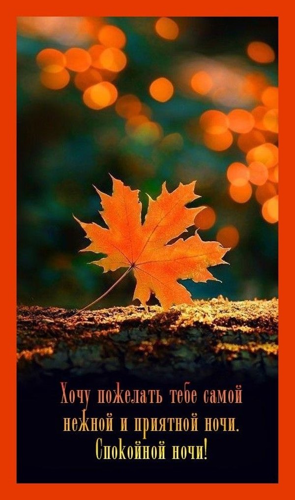 Изображение №80 507x857 «Хочу пожелать тебе самой нежной и приятной ночи!» из коллекции «Осенние открытки «Спокойной доброй ночи!»»