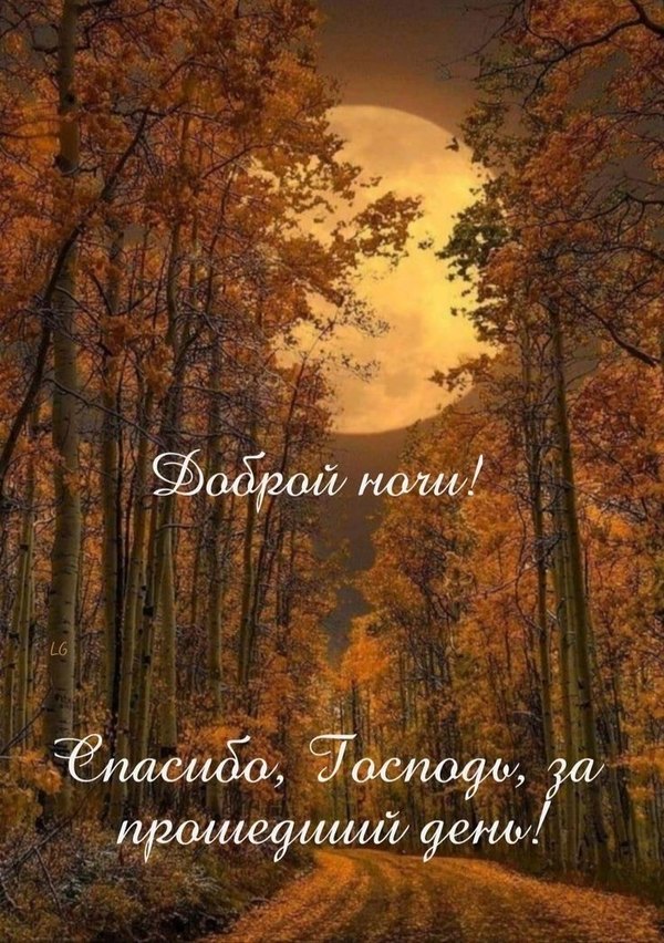 Изображение №41 736x1045  из коллекции «Осенние открытки «Спокойной доброй ночи!»»